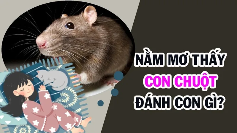 mo thay chuot la diem bao gi danh con gi gap may man tai loc